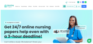 what is a nurse essay